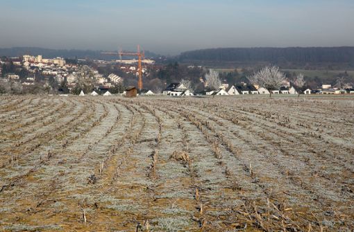 Die neu gegründete Schutzgemeinschaft Dittlau will verhindern, dass oberhalb von Faurndau ein 25 Hektar großes Wohngebiet entsteht. Foto: Horst Rudel/Archiv