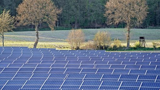 Die Genehmigung großflächiger Photovoltaikanlagen – wie hier neben der A 7 wird durch die neuen Vorgaben deutlich erleichtert. Foto: dpa/Marcus Brandt