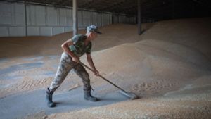 Die Einfuhr von Weizen aus der Ukraine bleibt zunächst zollfrei. Foto: Efrem Lukatsky/AP