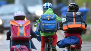 Die Landesregierung von Baden-Württemberg wünscht sich eine Helmpflicht für Fahrradfahrer. Eine Studie soll untersuchen, ob das sinnvoll ist Foto: dpa