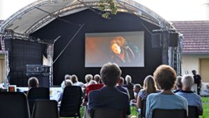Das Open-Air-Kino im Dettinger Park kommt gut an: Manch Besucher wünscht sich, dass es zur Tradition wird. Foto: /Karin Ait Atmane