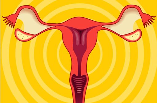 Manche Frauen entscheiden sich bewusst für eine Sterilisation als Verhütungsmethode. Foto: imago images / Panthermedia/vksdesigns