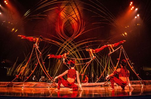 Der Cirque du Soleil ist, wie hier bei einer Vorstellung in Brasilien, für seine spektakuläre Artistik bekannt. (Archivbild) Foto: dpa/Humberto Ohana
