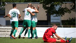 In der vergangenen Saison spielten der TSV Heimerdingen (hi.) und der SV Allmersbach in der gleichen Liga – am 7. August 2022 trennten sich die Teams mit 1:1. Foto: Baumann/Alexander Keppler