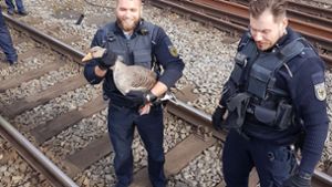 Diese Polizisten retteten Anfang März eine Gans am Stuttgarter Hauptbahnhof. PETA lobt ihren „fürsorglichen Umgang mit Lebewesen“. Foto: Bundespolizeiinspektion Stuttgart