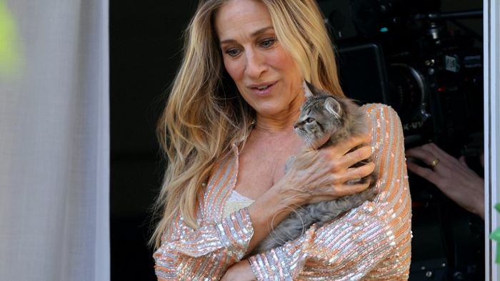 Sarah Jessica Parker adoptierte die Katze von Carrie Bradshaw