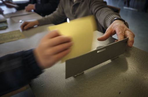 Wer macht das Rennen im Wahlkreis Backnang? Am 14. März wird gewählt. Foto: Gottfried Stoppel
