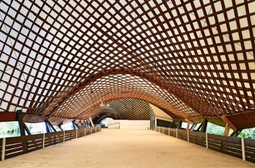Die Multihalle hat eine einzigartige Dachkonstruktion. Foto: dpa/Uwe Anspach
