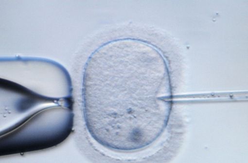 Der Fall einer Befruchtung mit dem Sperma des falschen Mannes hat das Oberlandesgericht Hamm beschäftigt (Symbolbild). Foto: dpa-Zentralbild