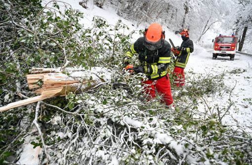 Die Feuerwehr, wie sie einen umgestürzten Baum zersägte – hier im Hochschwarzwald Foto: dpa/Felix Kästle