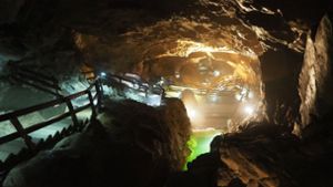 In der Lamprechtshöhle in Österreich sitzen drei Höhlenforscher aus Polen fest (Archivbild). Foto: dpa/Stefanie Ruep