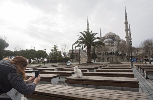 Ein beliebtes Fotomotiv bei Touristen: Die blaue Moschee in Istanbul, in deren Nähe zehn deutsche Urlauber bei einem Selbstmordanschlag ums Leben gekommen sind. Foto:  