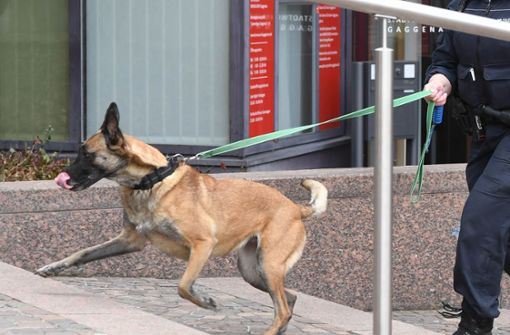 Strengstoff-Suchhunde haben in dem Supermarkt in Tamm keine Bombe gefunden. Foto: dpa