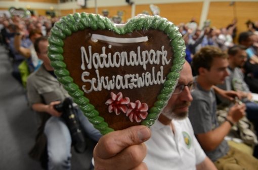 Der im Nordschwarzwald geplante Nationalpark wird laut einer Umfrage von der Mehrheit der betroffenen Bevölkerung begrüßt.  Foto: dpa