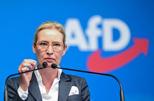 Die Parteivorsitzende der AfD, Alice Weidel Foto: dpa/Bernd Weißbrod