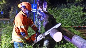 Einsätze im Minutentakt: Die Ditzinger Feuerwehr musste bei der Stadthalle einen Baum zersägen, der auf die Straße gefallen war. Foto: Feuerwehr Ditzingen