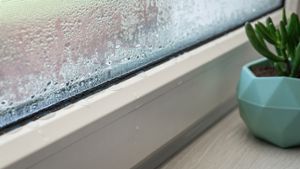 Erfahren Sie, was es für Gründe haben kann, wenn Ihre Fenster trotz Heizen und Lüften nass sind. Jetzt weiterlesen!
