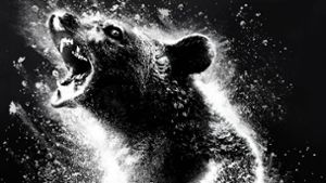 Neu im Kino: „Cocain Bear“. Foto: IMAGO/ZUMA Press/IMAGO/Universal Pictures
