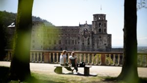 Die Stadt Heidelberg konnte ihre Treibhausgasemissionen deutlich senken. Foto: dpa