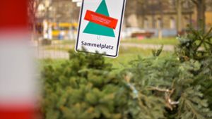 Seit Montag werden die zugelassenen Sammelstellen für Weihnachtsbäume in Stuttgart geräumt. (Archivbild) Foto: Lichtgut/Max Kovalenko