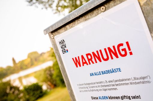 Ein Hinweisschild warnt Badegäste vor Blaualgen im Sieben-Meter-Teich in Hannover. Foto: Moritz Frankenberg/dpa