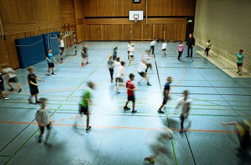 Viele Kids, wenig Platz – in Vaihingen ist bei den Handball-Minis sinnvolles Training nur sehr schwer möglich. Foto: Lichtgut/Achim Zweygarth