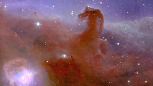 Eine Aufnahme der europäischen Raumsonde zeigt den berühmten Pferdekopfnebel. Die ersten Bilder von „Euclid“ gewähren einen detailreichen Einblick in den Weltraum. Foto: Esa/Euclid Consortium/Nasa/AFP
