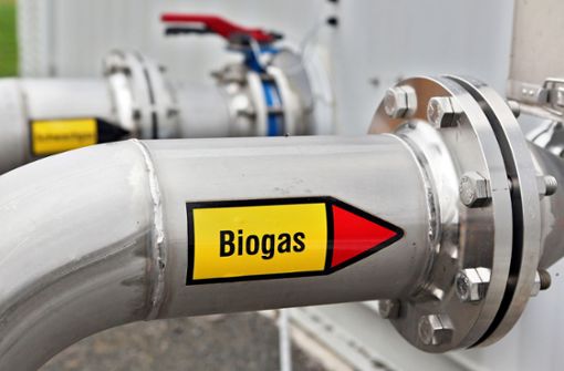 In Baden-Württemberg gibt es rund 900 Biogasanlagen. Foto: dpa-Zentralbild