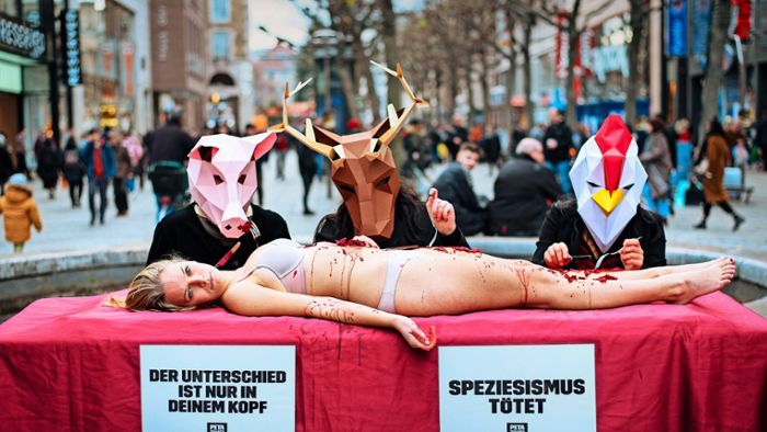 Tierrechtsorganisation mit Sitz in Stuttgart: Zwischen Hass und Zuspruch: 30 Jahre Peta in Deutschland