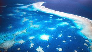 Das australische Barrier Reef ist stark bedroht. Foto: Great Barrier Reef Marine Park A