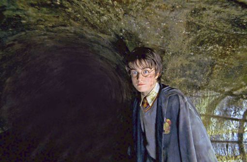 Harry Potter und die Lebenswirklichkeit – eines der Themen im Merlin Foto: picture alliance