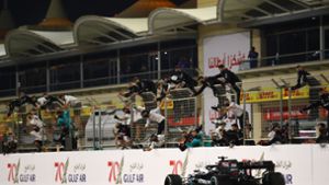 Lewis Hamilton hat den Großen Preis von Bahrain gewonnen. Foto: AFP/BRYN LENNON
