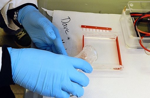 Probe im Labor: DNA-Tests lasse nicht selten Restzweifel, die zur Revision vor Gericht führen können Foto: dpa