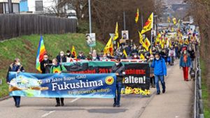 Von Kirchheim am Neckar aus zog der Protestzug zum Atomkraftwerk Neckarwestheim. Foto: factum/Jürgen Bach