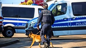 Die Durchsuchung mit einem Sprengstoffspürhund gab die Entwarnung. Foto: dpa/Christoph Schmidt