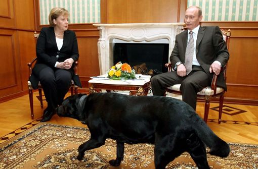 Merkel zu Gast beim russischen Präsidenten Vladimir Putin im Jahr 2007. Warum dieses Bild so berühmt wurde, erfahren Sie in unserer Bilderstrecke. Foto: dpa/epa Sergei Chirikov