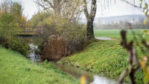 Der Landkreis Böblingen gilt als Wassermangelgebiet. Deshalb darf aus Bächen und Flüssen, wie dem Rankbach in Renningen, während der Sommermonate  kein Wasser geholt werden. Foto: /Simon Granville