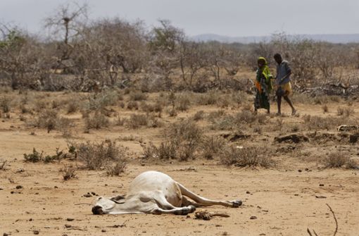 Kenia: Dorfbewohner gehen an der Grenze zu Äthiopien am Kadaver eines Rindes vorbei. Die Gefahr einer Heißzeit kann aus Sicht von Klimaforschern selbst beim Einhalten des Pariser-Klimaabkommens nicht ausgeschlossen werden.  Foto: dpa