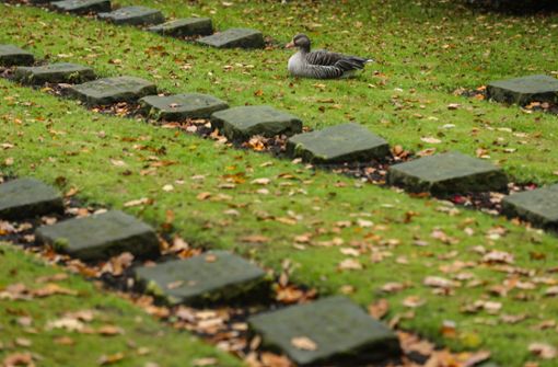 Gräber auf dem Friedhof Ohlsdorf. Foto: dpa/Ulrich Perrey