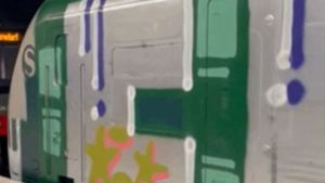 Vorne, Mitte und hinten – auch die Scheiben und Türen  einer S-Bahn der Linie 2 wurden mit Farbe vollgesprüht. Foto: Reddit-Video