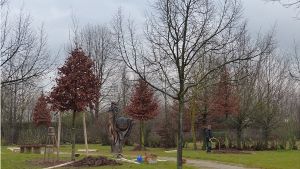 Weit fortgeschritten sind die Arbeiten für das Baumgrabstättenfeld auf dem Kleinfeldfriedhof. Foto: Gerhard Brien