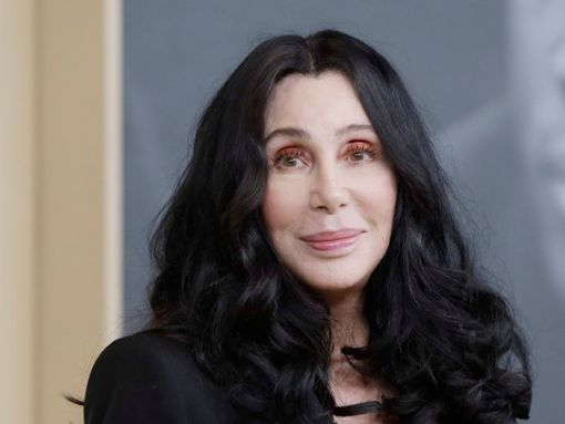 Cher wollte kein Treffen mit Elvis Presley. Foto: Joe Seer/Shutterstock.com