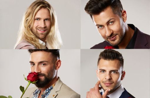 Jonas, Matin, Fabiano  und Tim aus Baden-Württemberg hoffen auf die letzte Rose der „Bachelorette“. Foto: TVNOW