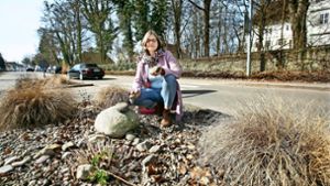 Schottergärten will die Bürgerin Tanja Traub zum Blühen bringen. Foto: Ines Rudel