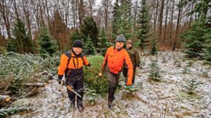 Bernhard Arzt, Werner Leeger und Alfred Bidermann (von links) sind drei aus dem Team, das sich seit Langem für den Weihnachtsbaumverkauf engagiert. Foto: factum/Weise