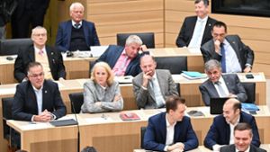 Die AfD-Fraktion im Stuttgarter Landtag: Laut einer Studie würden 22 Prozent der jungen Leute in Deutschland die AfD wählen. Foto: dpa/Bernd Weißbrod