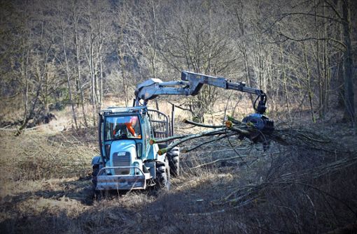 Waldarbeiter befreien die ehemalige Pfeifengraswiese bei Großerlach von schwerem Gehölz. Foto: Frank Rodenhausen