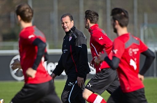 Einstand in Bremen: VfB-Trainer Huub Stevens. Foto: dpa