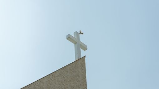 Symbolisch steht die Taube für den Heiligen Geist  – deshalb wird sie oft mit Pfingsten in Verbindung gebracht. Foto: IMAGO/Pond5 Images/IMAGO/xdivinaepiphaniax