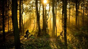 Rücksichtnahme gefordert: Mountainbiker im Stadtwald Foto: dpa/ Julian Strate